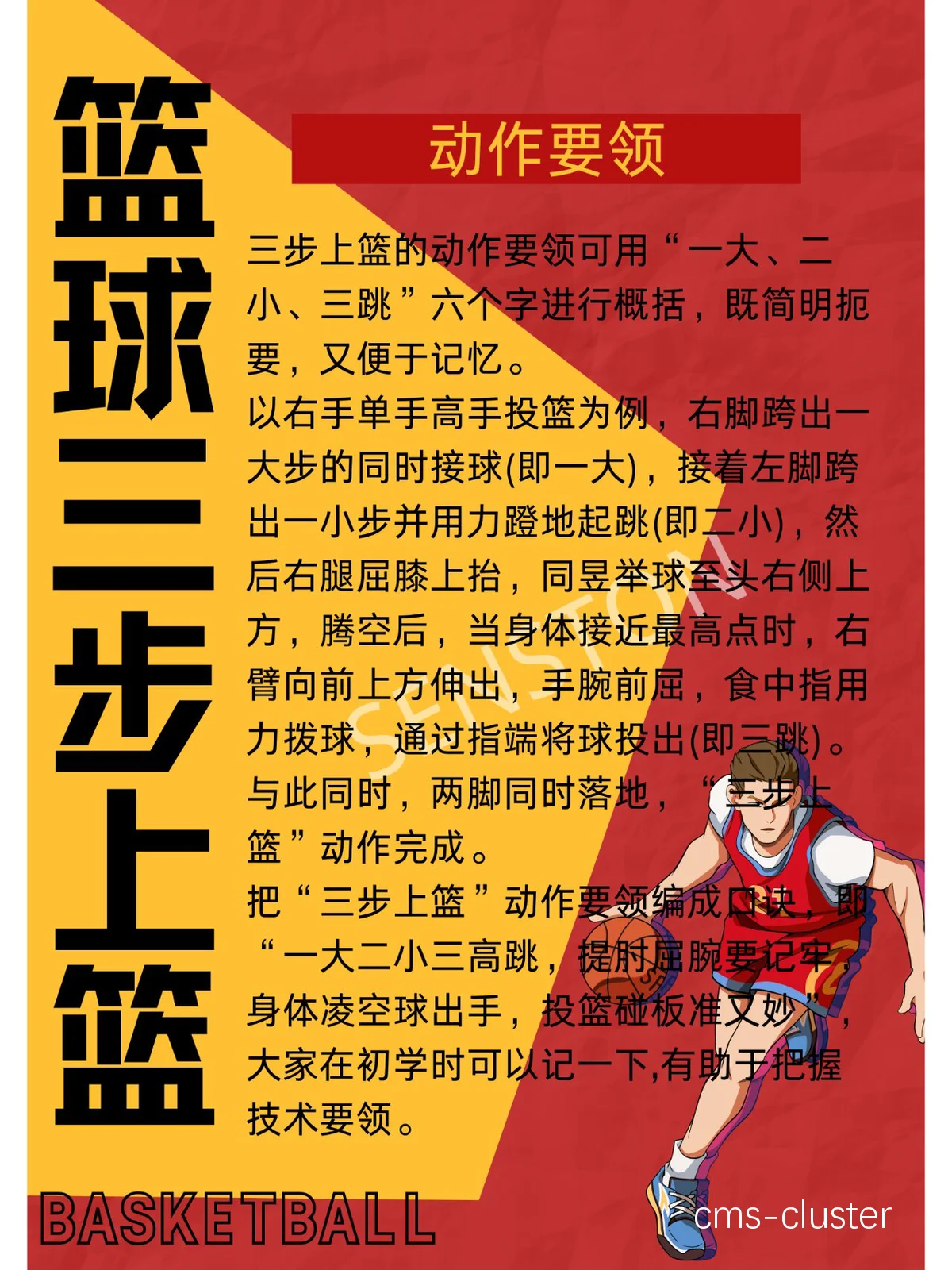 篮球训练方法大全集视频讲解图片